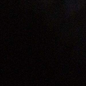 Meet your Posher, Lizzy